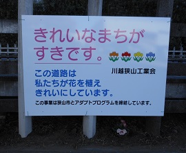 hana3