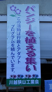 hana5