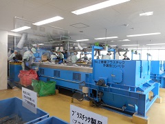 eco1