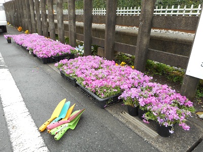 hana0405-2